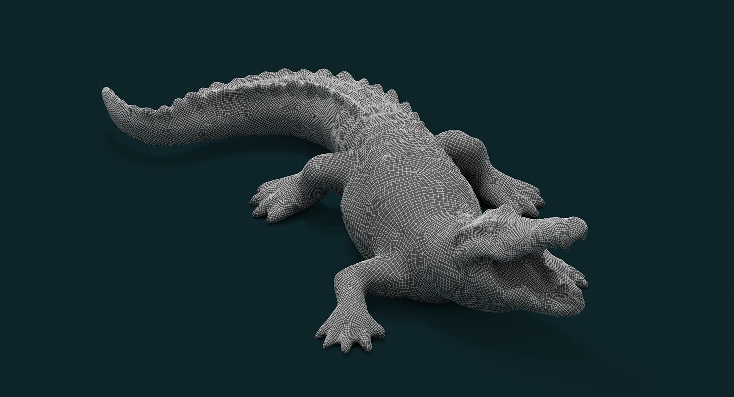Alligator 3d